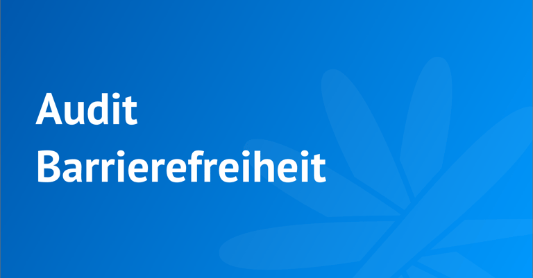 Audit Barrierefreiheit