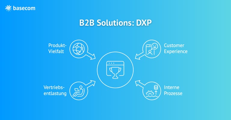B2B Solutions: DXP – Beitragsbild