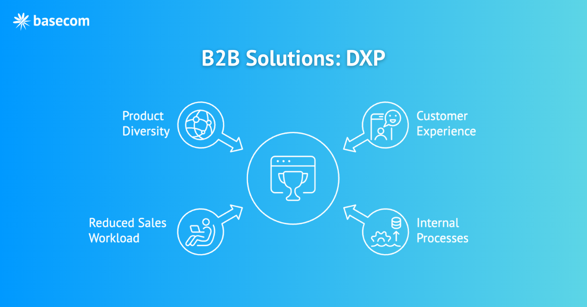 B2B Solutions: DXP – feature image