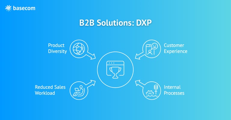 B2B Solutions: DXP – feature image