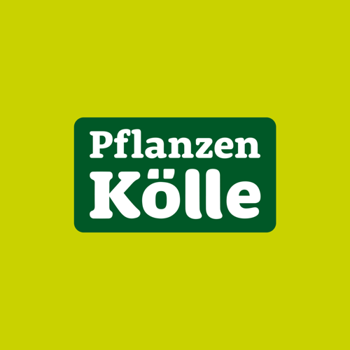 Pflanzen Kölle