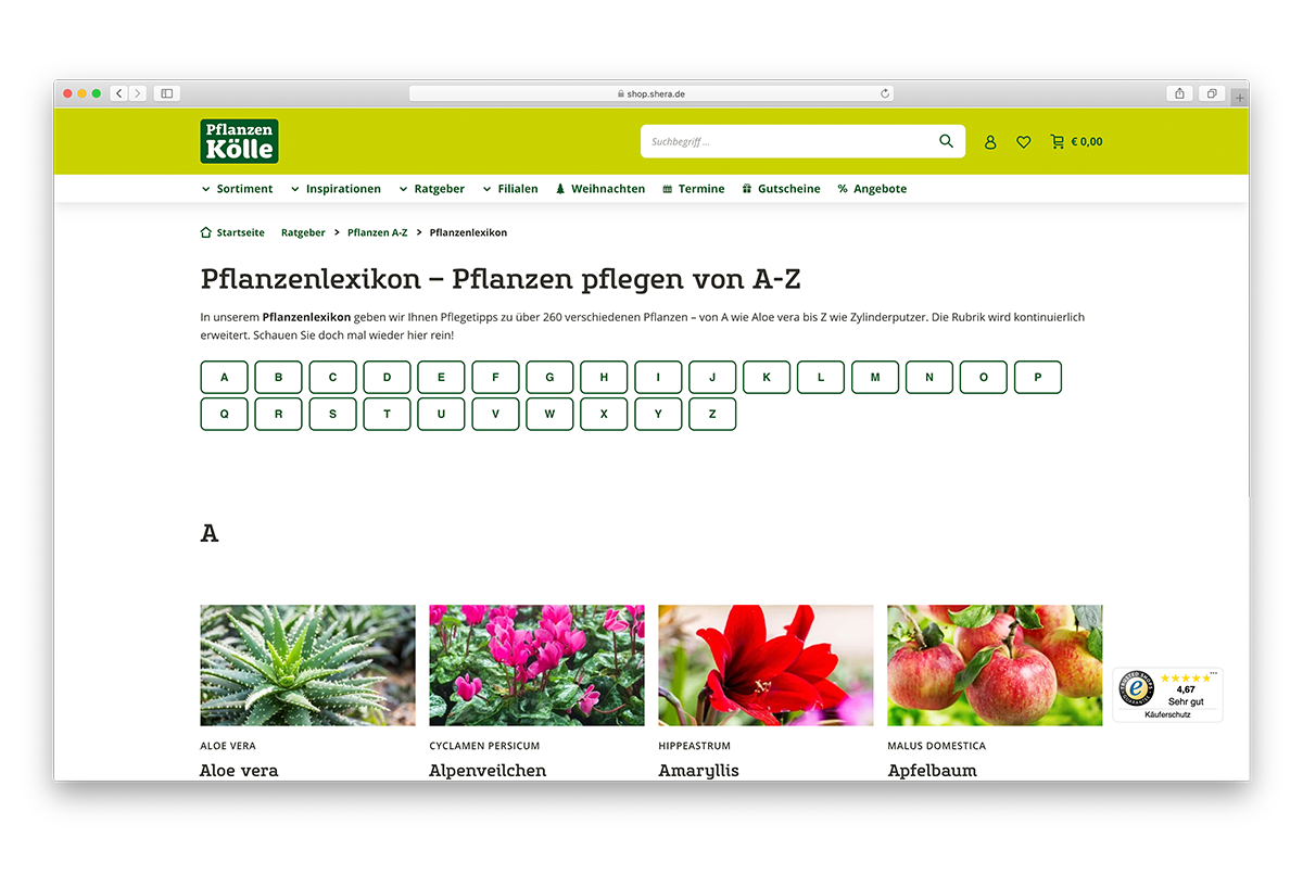 Pflanzen_Koelle_Ansicht_04