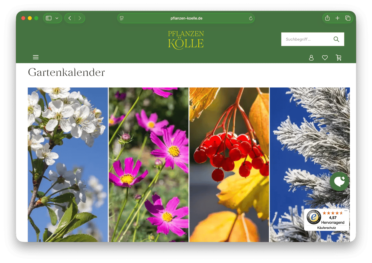 Bildschirmfoto Planzen-Kölle
