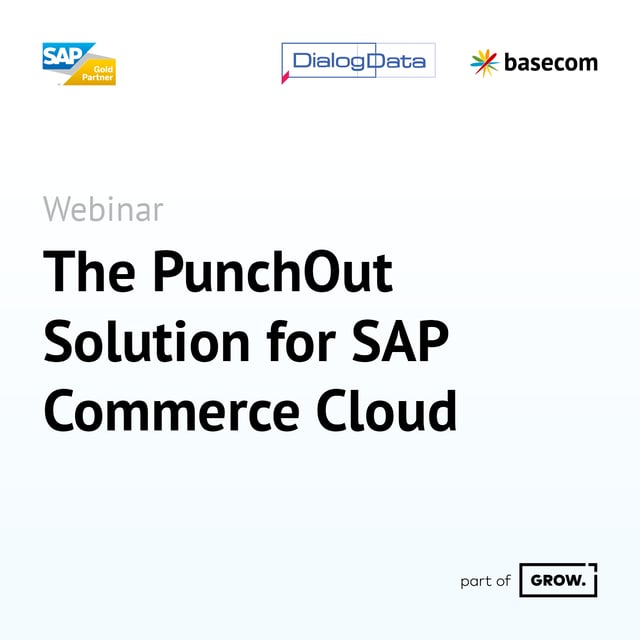 Webinar SAP Punchout