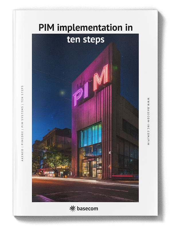 PIM implementation in ten steps preview